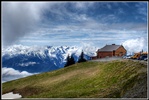 Hurricane Ridge